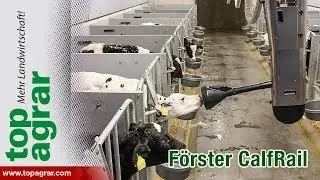 K&auml;lbertr&auml;nke an Schienen: F&ouml;rster CalfRail im Test
