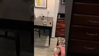 First person ping pong shot part 4 #trickshot #trending #pingpong