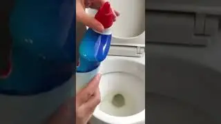Чистящее средство для унитазов Clorox