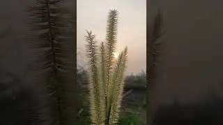 Tum pe hum toh#skylapse
