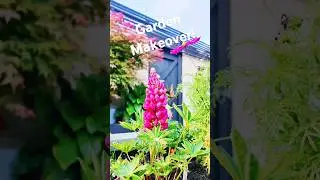 Garden makeover project