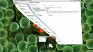 iDeneb MacOS X