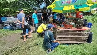 Pasar bururung tradisional isi burungya mewah mewah
