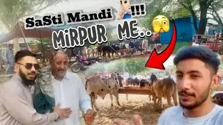 Cheapest and beautiful cattles Mandi in Mirpur🫣!!! Must visit and watch😉
