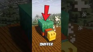 Some facts about sniffer 🤔#shorts