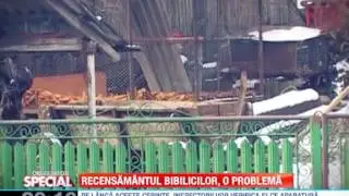 Observator Special   12 Feb 2013