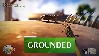 Grounded - Дорогая, я уменьшил детей / Обзор игр / Review / Gameplay