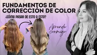 ¿Cómo hacer una corrección de color? CLASE EN VIVO