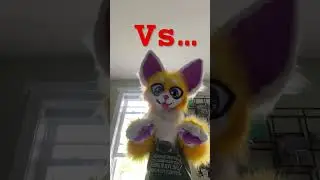 2024 vs 2021 #Furrylove