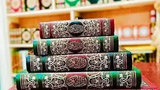 سورة يوسف - مرتل - الشيخ مصطفى السيسي