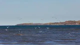 Kelso Beach, Owen Sound