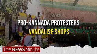 Bengaluru: Pro-Kannada protesters vandalise shops, pull down English signboards