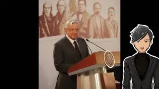 Mexican foreign policy is based on respect for the Constitution