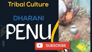 Unveiling the Rich Heritage of Odisha: Penu Festival and the Tribal Culture