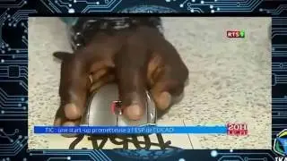 Reportage sur la startup IKANE Co. au JT Officiel 20H de la RTS1 du mercredi 14 sept. 2016