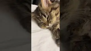 Бензин на нуле 😊