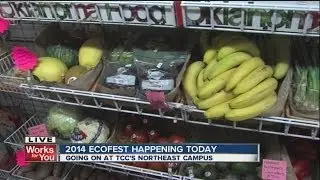 EcoFest encourages greener and healthier living