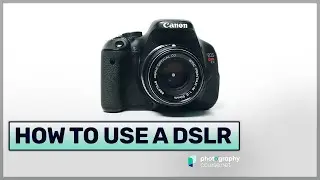 The Ultimate Guide To Learning How To Use Your First DSLR