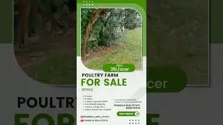 Poultry Farm for Sale in Siddipet District | 8 Acres | 4 Sheds | 60,000 Capacity | ₹35 Lakhs per