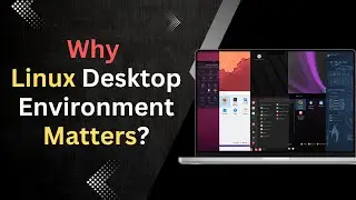 Why Your Linux Desktop Environment Matters More Than the Distro?