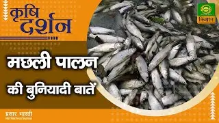 कृषि दर्शन - मछली पालन की बुनियादी बाते