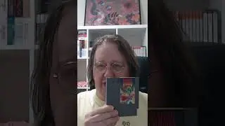 Toshie the Hero and the Dragon Quest Influence #booktube #isekai #bookreading #bookinspiration