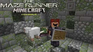 MINECRAFT SMP (MAZE RUNNER)