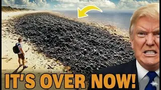 Scientists Shocked: What Was Found Moving Under Lake Okeechobee?
