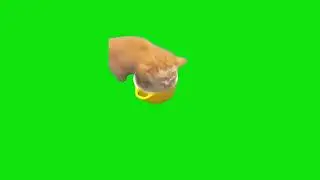 Kitten Drinking Milk With Face Meme Green screen.