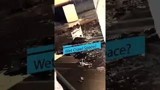 Wet Crawl Space Repair
