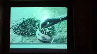 Coffee farming video played in Coffee Board Museum, Chikmagalur
