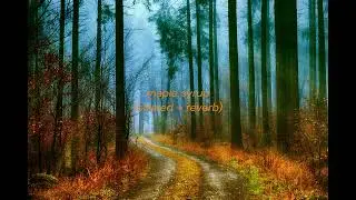 backseat lovers - maple syrup (slowed + reverb)