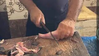THOKKOTU FISH MARKET SATURDAY UPDATE 🥵🔥#fillet #fishcooking #viral #fishing #seafoodprep #viralvideo