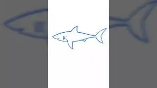 Shark videos compilation, Shark Puppet, Shark Tank, Nichijou and Real Sharks