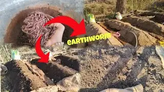 Vermi compost bed me earthworm 🪱 dal diye 😱#vermicompost #gobar #organicfertilizer #channel #viral
