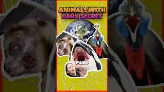 THESE ANIMALS HAS A VERY DARK SECRET💀