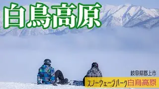 スノーウェーブパーク白鳥高原【 Slope Report at Snow Wave Park Shiratori Kogen】