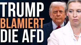Donald Trumps Regime stürzt die AfD in eine tiefe Krise