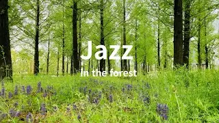 Jazz in the forest   숲 속 재즈 음악 : 자연속에서의 잔잔한 휴식