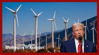 Trump administration rescinds approval for massive Idaho wind project