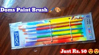 #unboxing😍 Doms Synthetic hair paint brushes🖌️ ||Set for only Rs.50 #doms #art #viral #viralvideo 