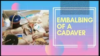 Embalming procedure for study purpose
