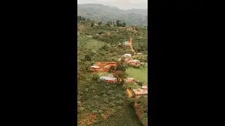 Drone shots in Colombia Coffee Lands - Filming with Corvus Coffee