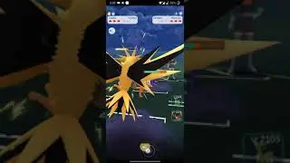 4000 CP Murkrow vs Legendary Zaptos