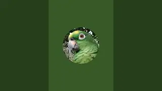 VICTOR DE LOROS 16 está en vivo