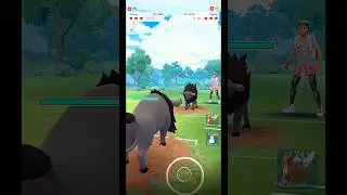 Aqua Tauros V/S Blaze Tauros PVP Breed Battle in #pokemongo