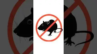 Repelente anti-rato | Camundongos e ratos destruidores de som |#shorts#ratos#livre-se#ultrassom