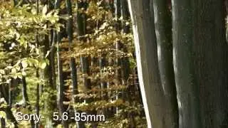 4K Sony Cinealta Lens test SCL-PK6