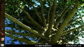 Treasure Island - The Golden Bug [1080p] [12] - The Tree