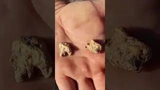 2 Huge Gold Nuggets + Ancient Ocean In The Desert  #goldprospecting #metaldetecting #rockhounding